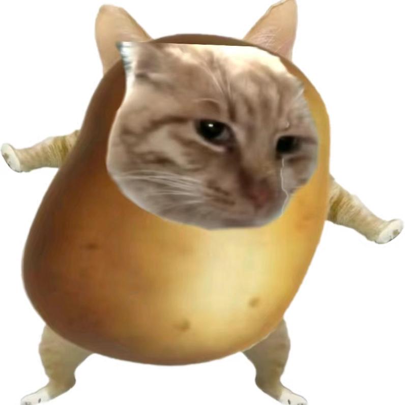 猕猴桃