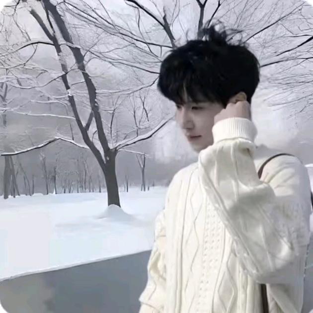 枫