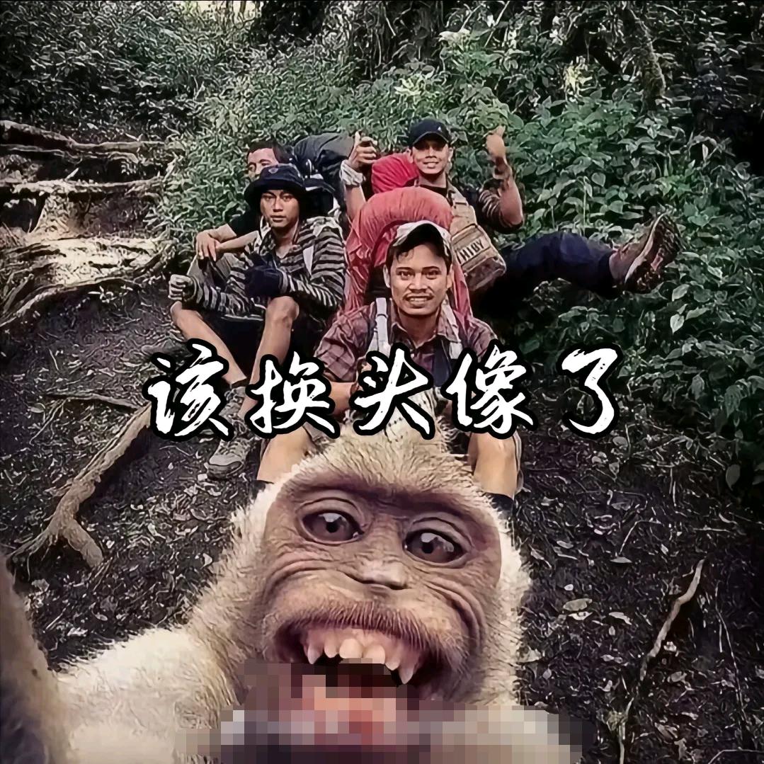 预估