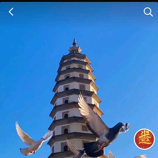 扬帆起航`勇敢前行