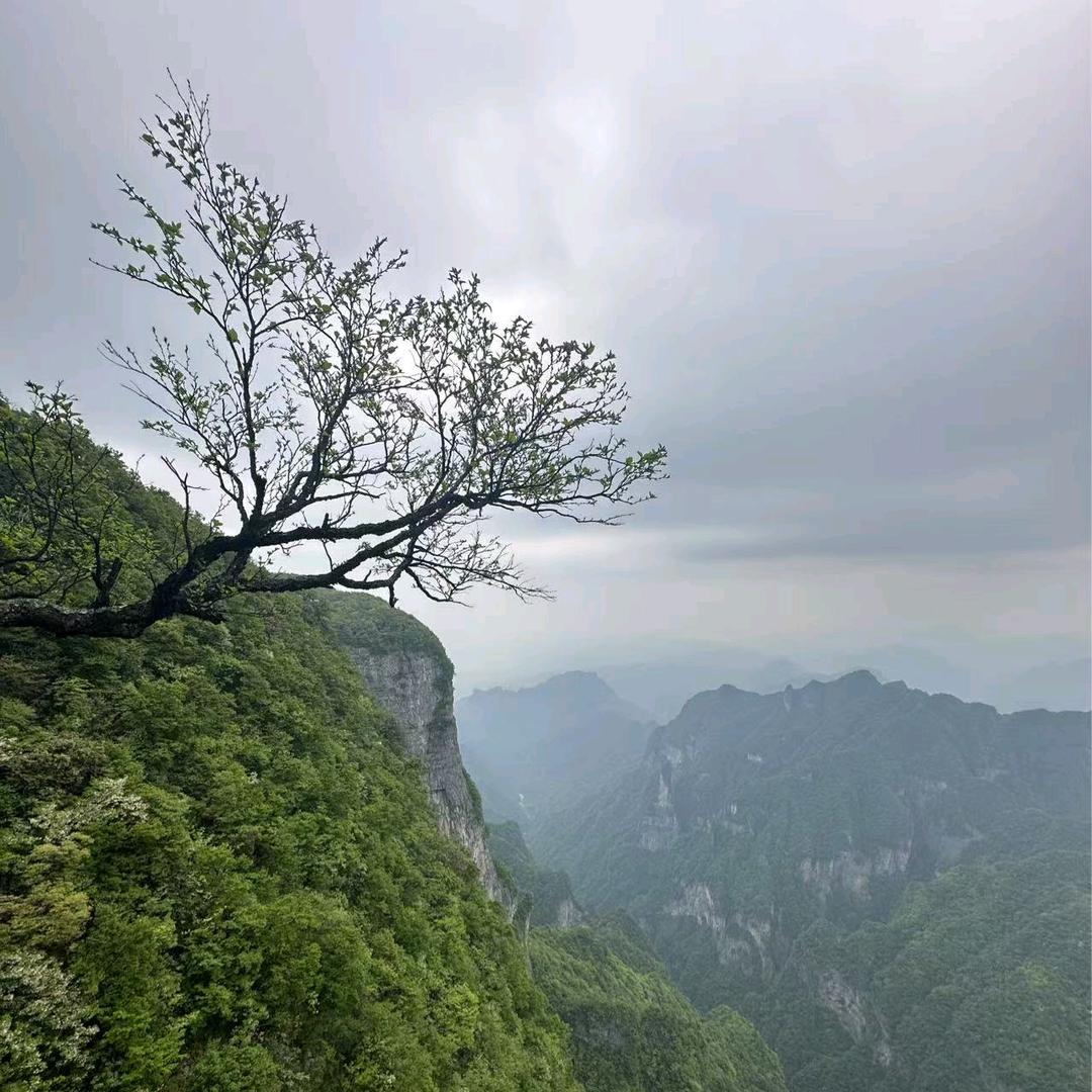 王顺杰