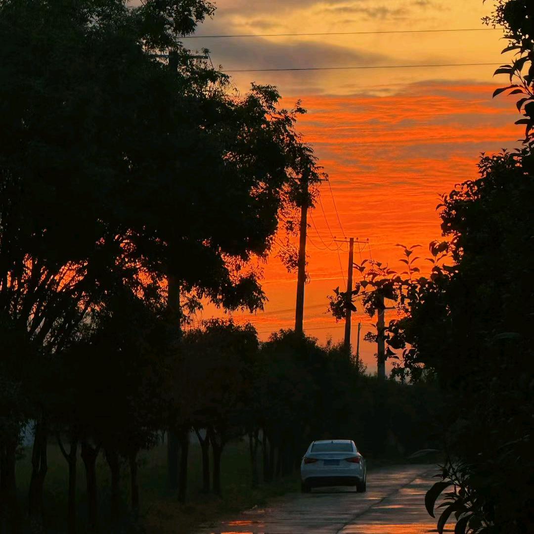 千千好物推荐丿