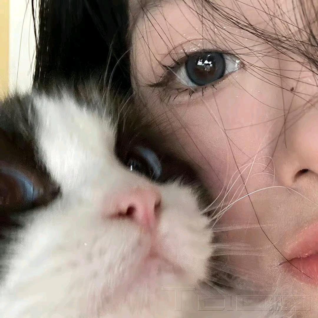 屿月