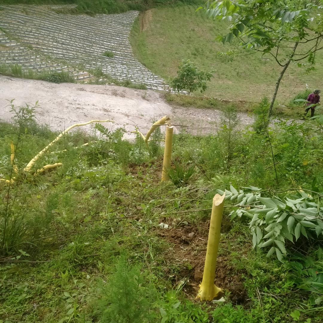 鹏程万里