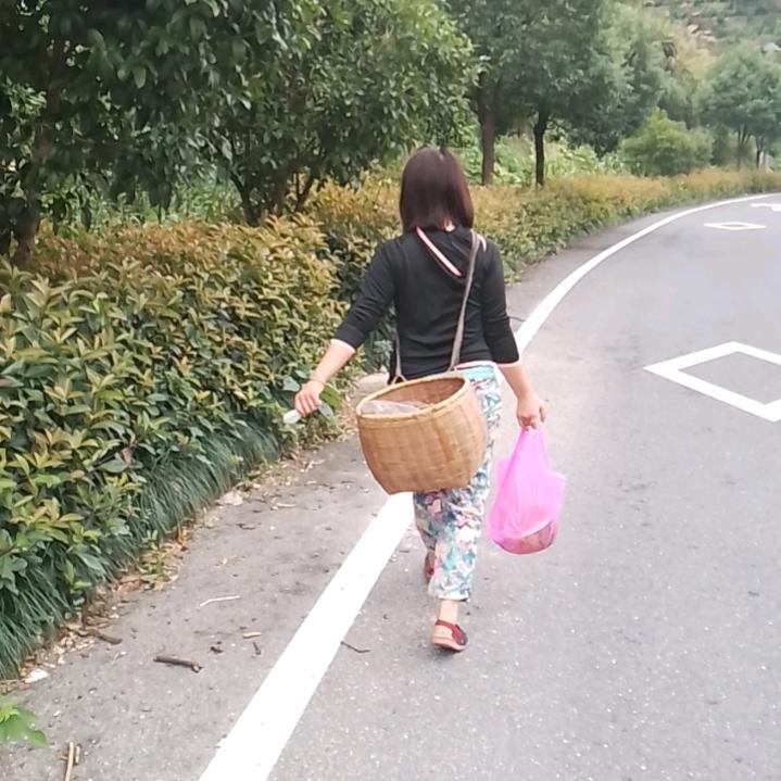 红花短剧