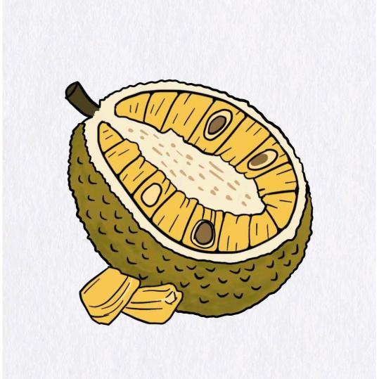 博博爱吃菠萝蜜