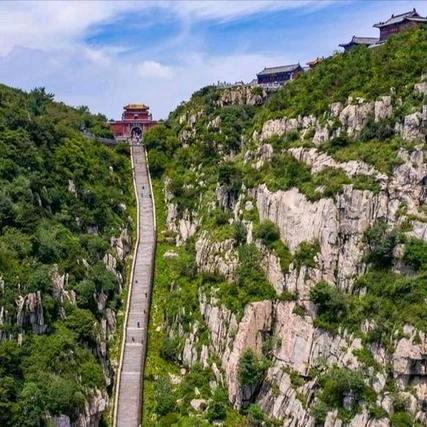 泰山龙龙添财