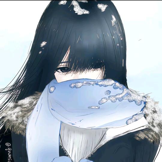 小鱼🐬