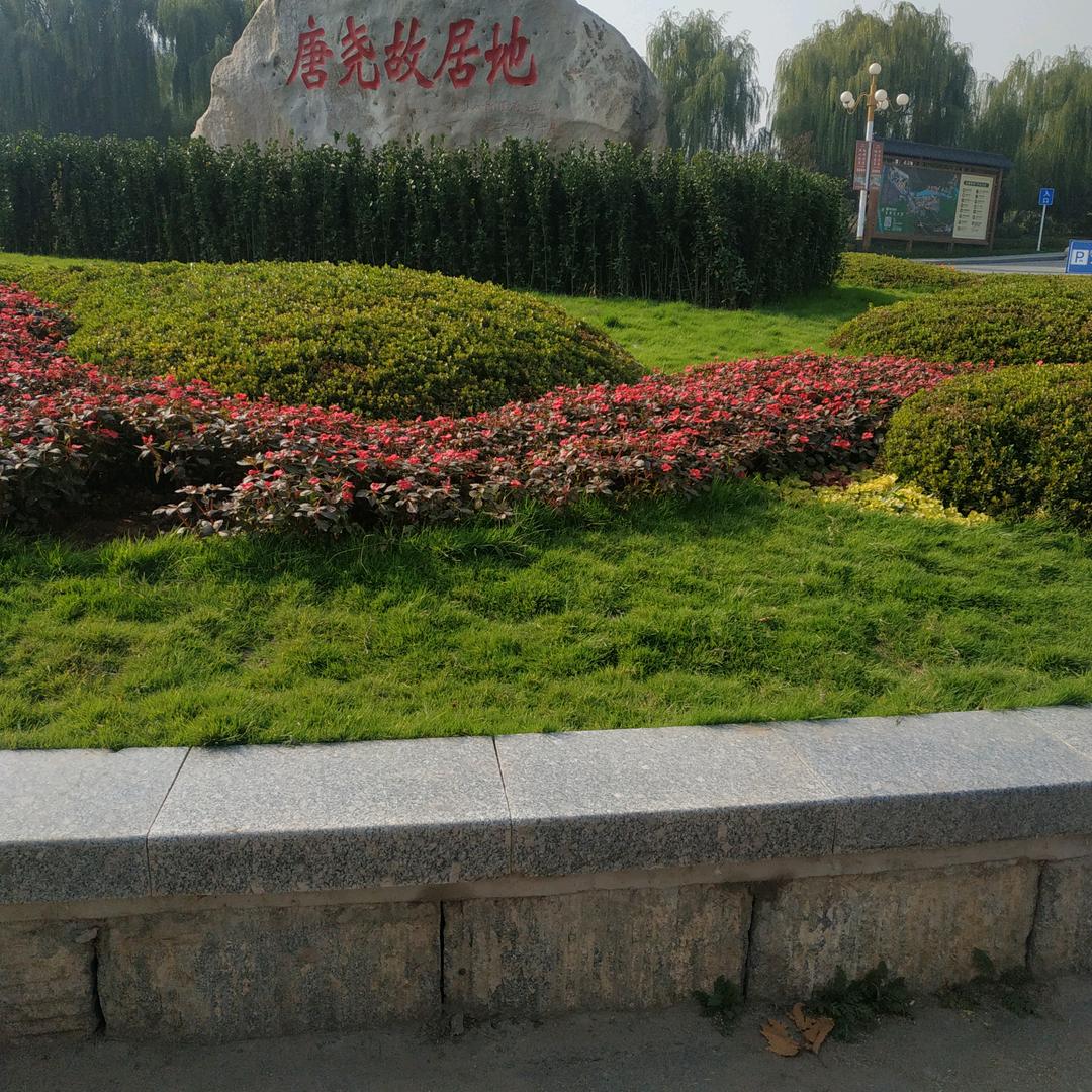 中医康复理疗