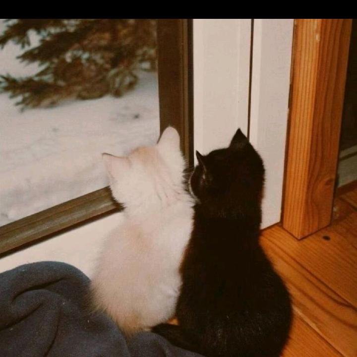 长官三角洲直播代肝