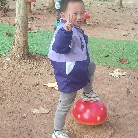 小微微