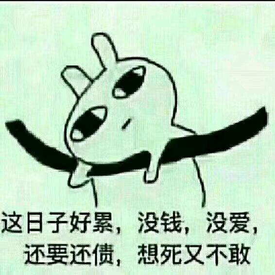 风珠
