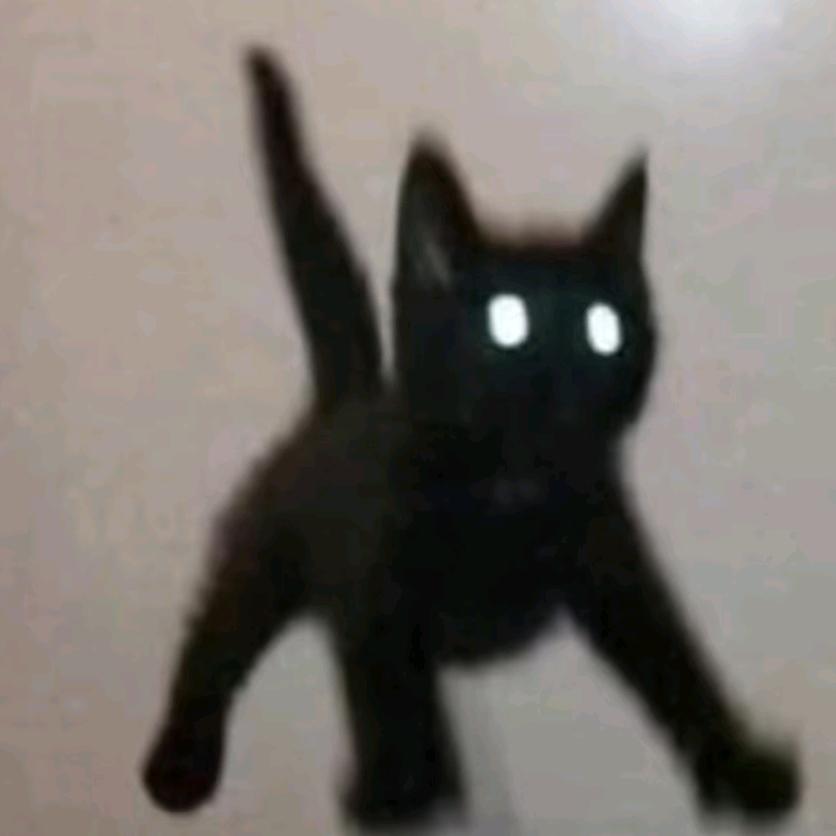 粥🧣• ·̫ •🧣