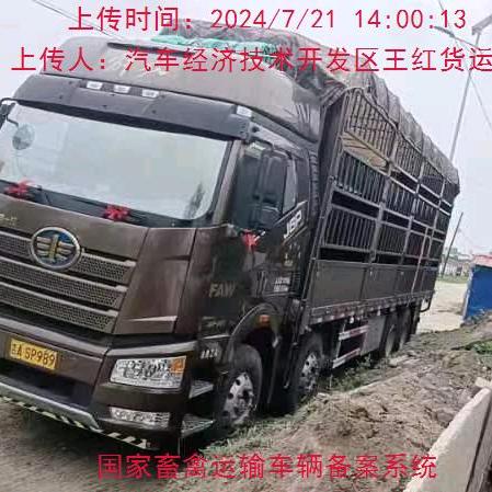小张
