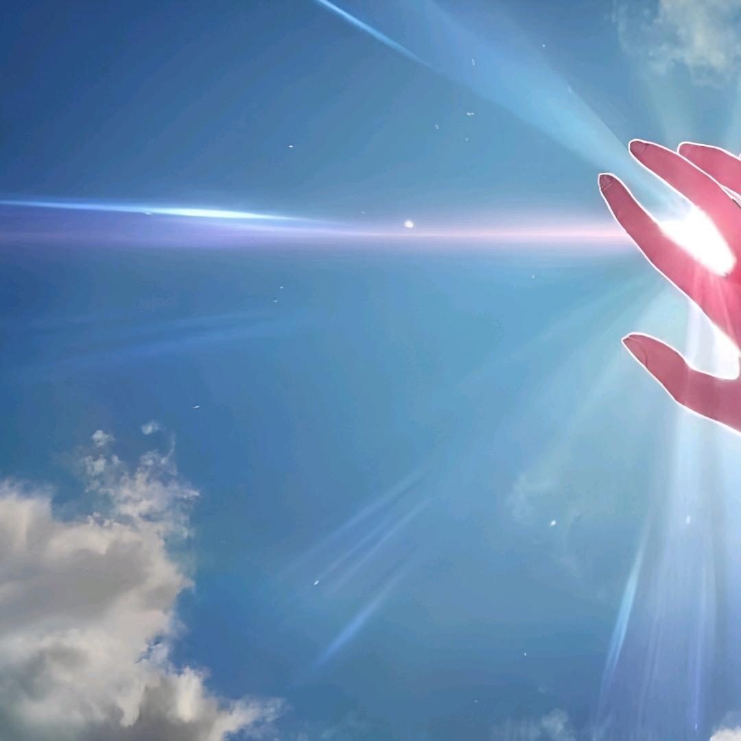 白山茶（三角洲跑刀）