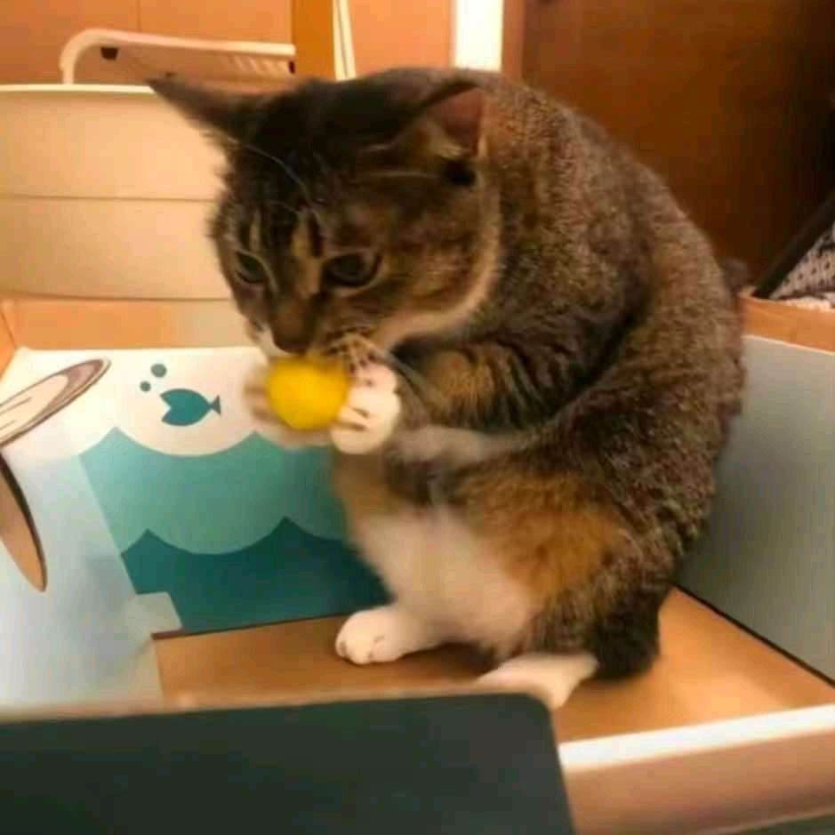 涵宣