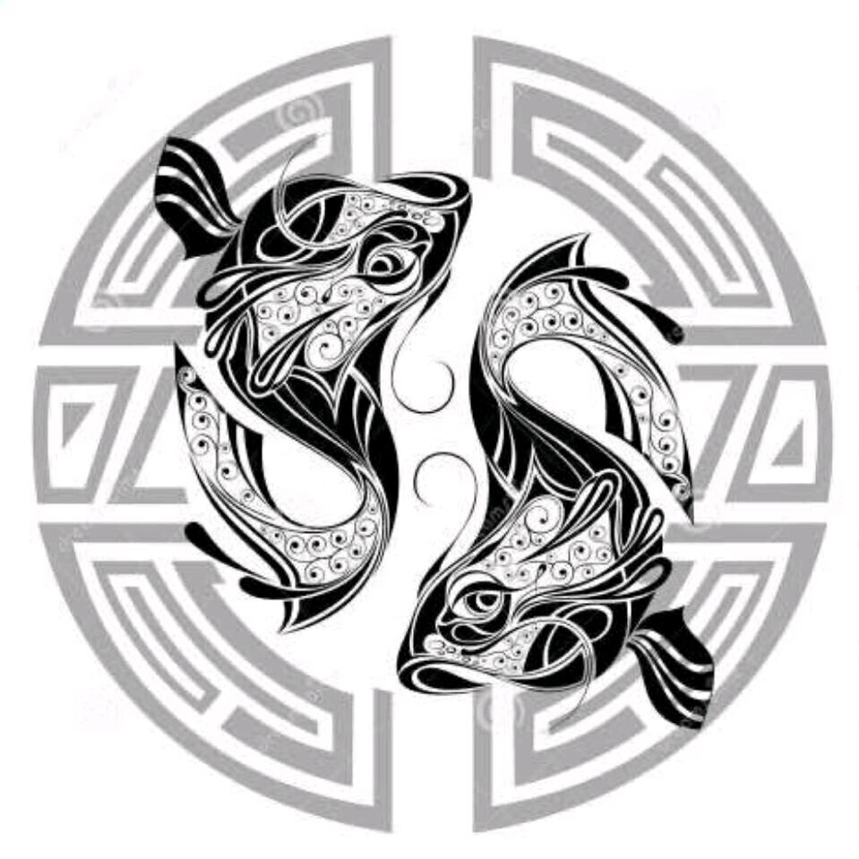 鑫众锦鲤