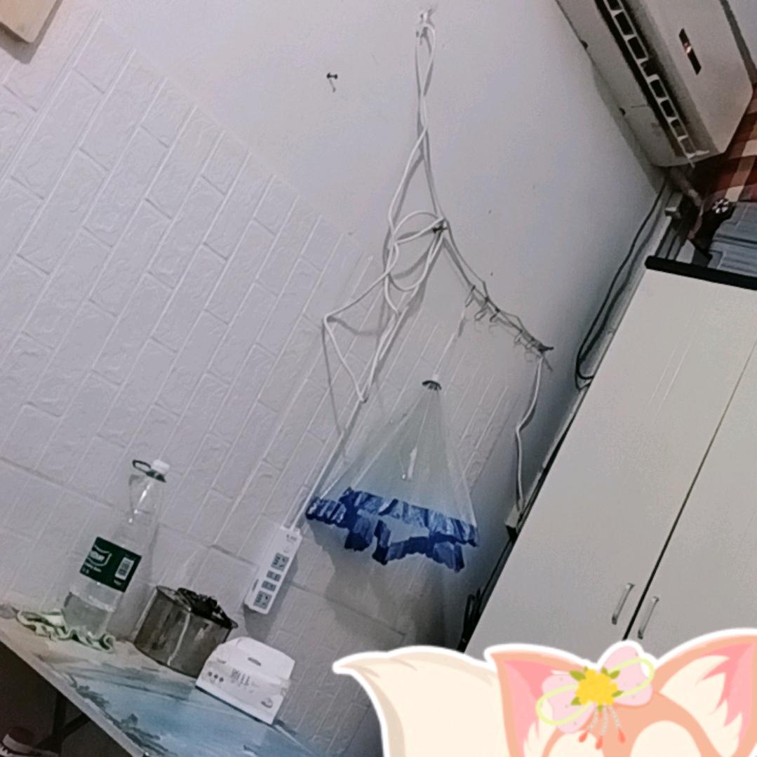 @🛳