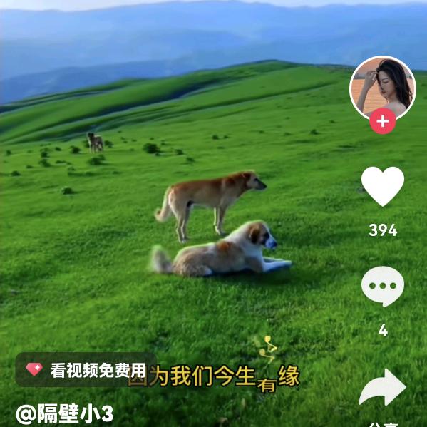 开开心心www