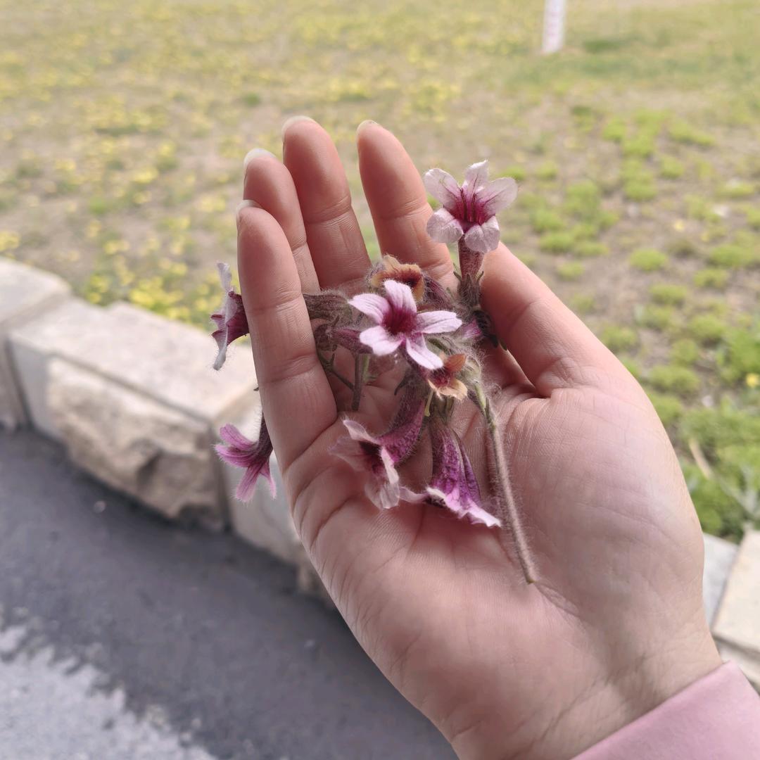 丽姐