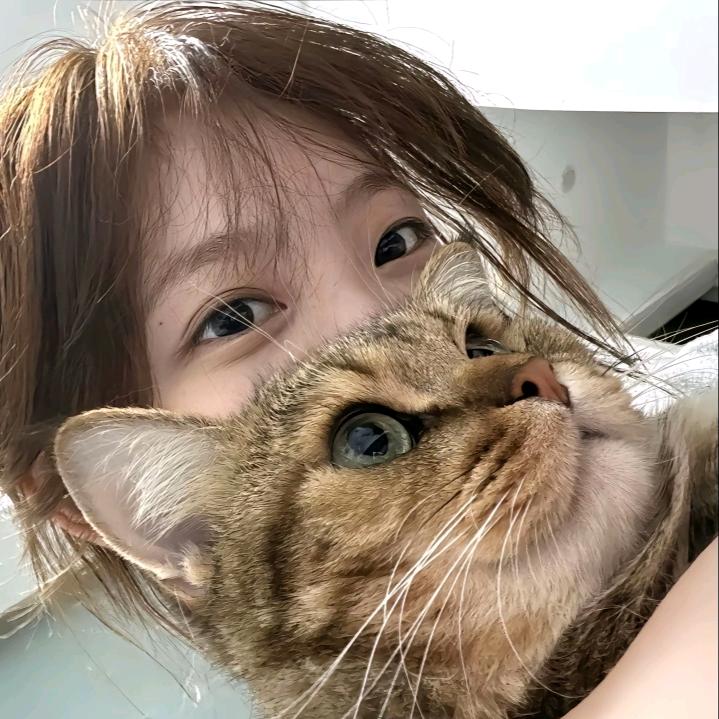 沇💤