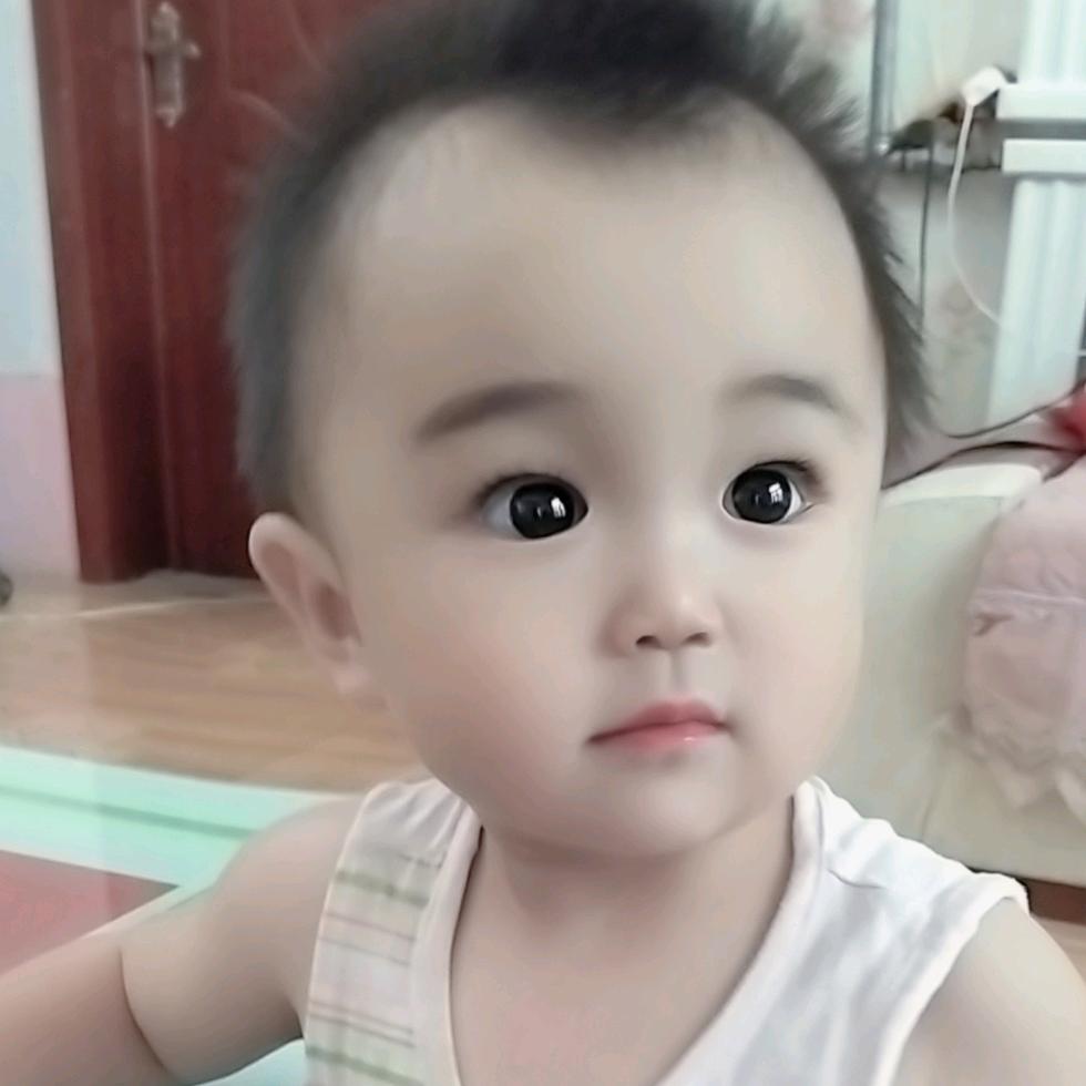 诗语小甜橘