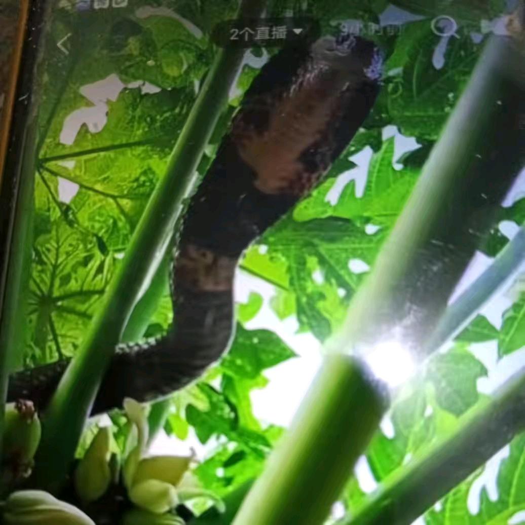 🥀ৎ୭封心᭨ᮩ锁爱ഒᩚ࿐