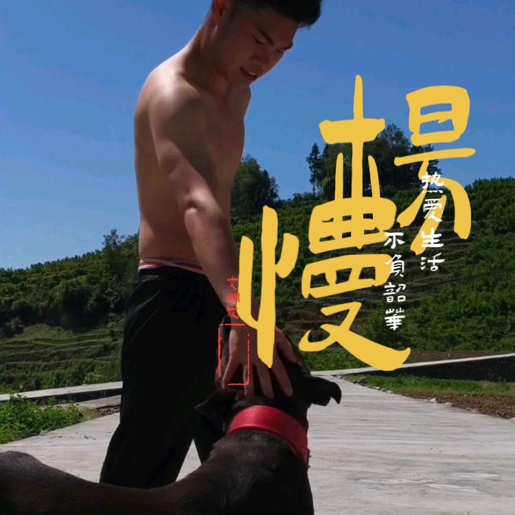 杨慢玩狗