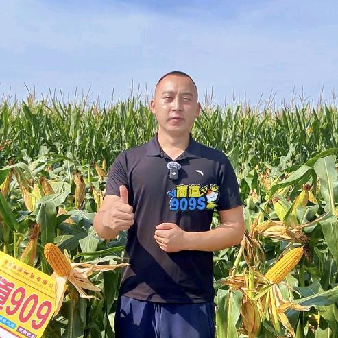 商道种业张进保