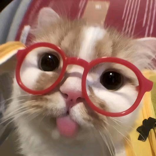 我最讨厌楞次定律