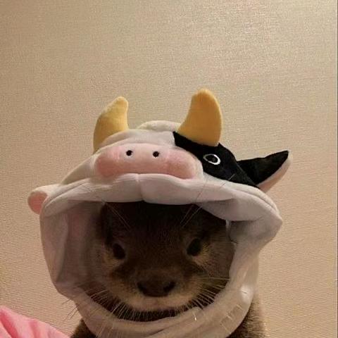 晚安安安安