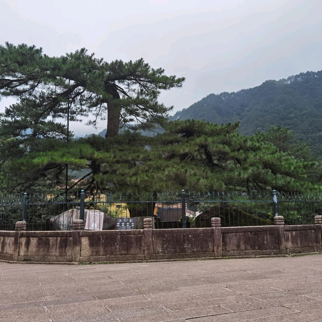 思语