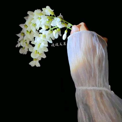 🌸ꦿ໊彩᭄🦋᭄ꦿᩚ٭