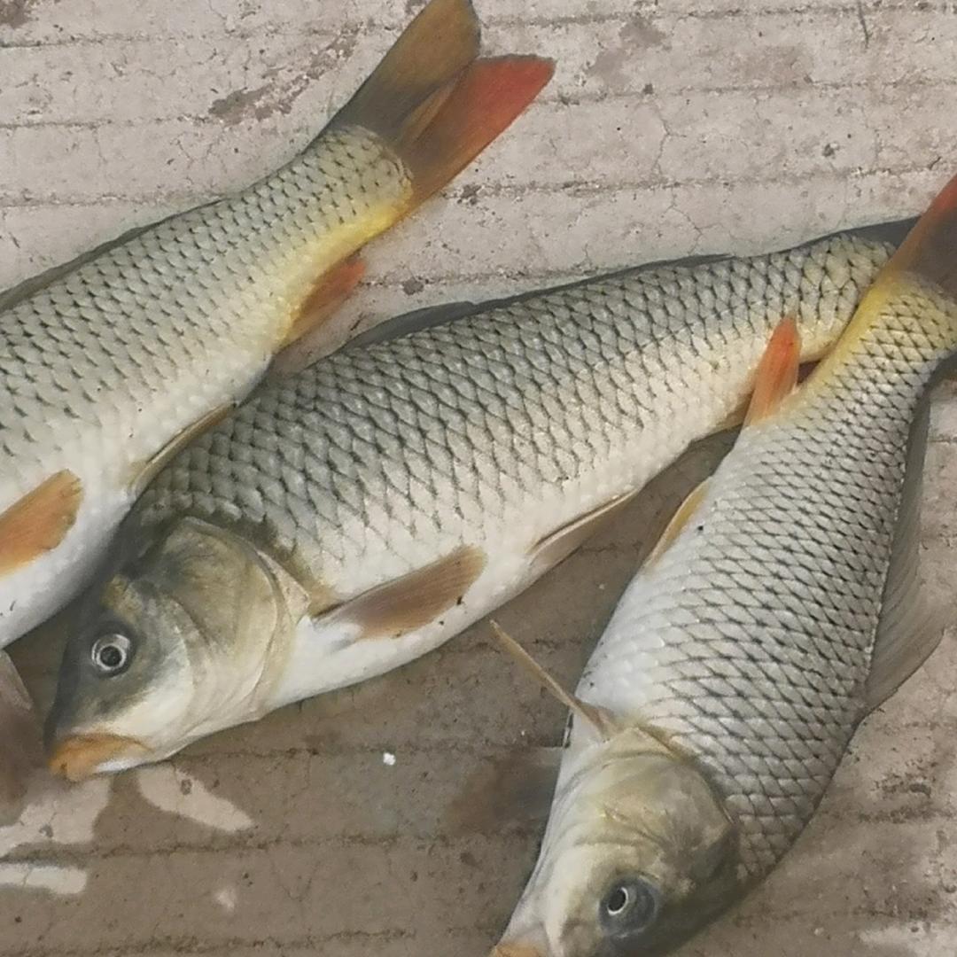 再苦再难走下去