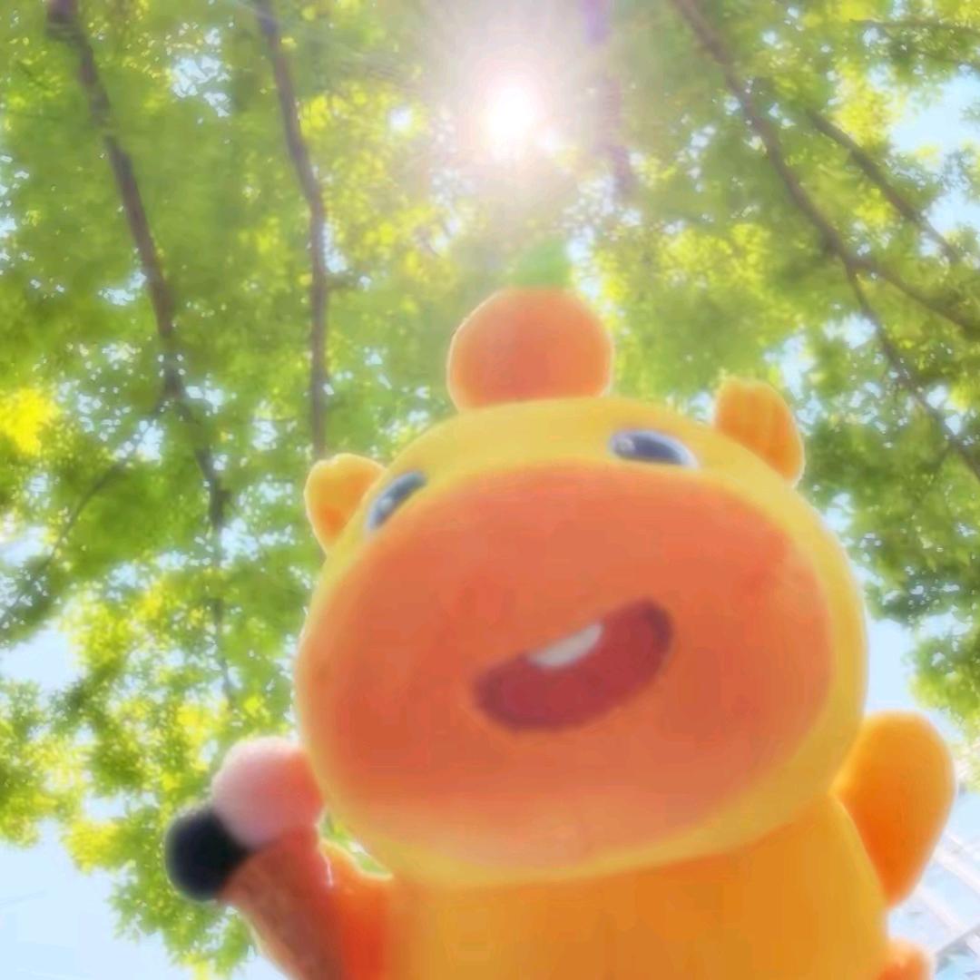 钓钓