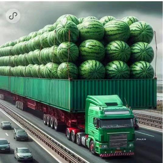西瓜🍉小子