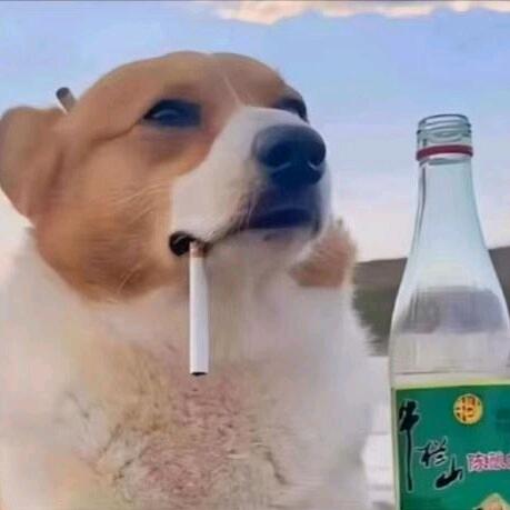 小辉爱说话、