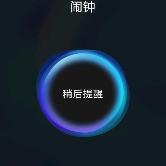 1101333925