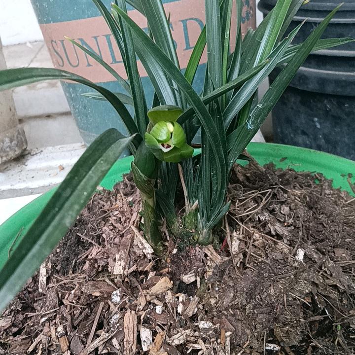 和气生财