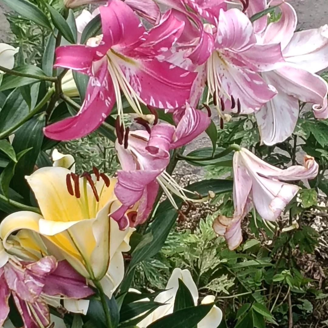 珍惜缘分