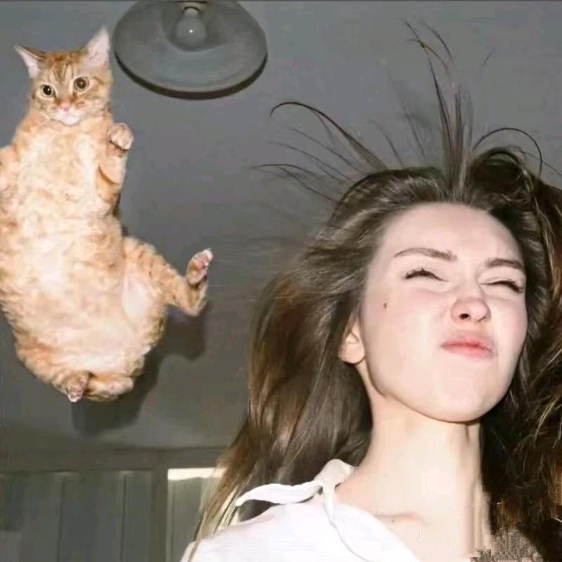 麻辣火鸡螺蛳粉大王