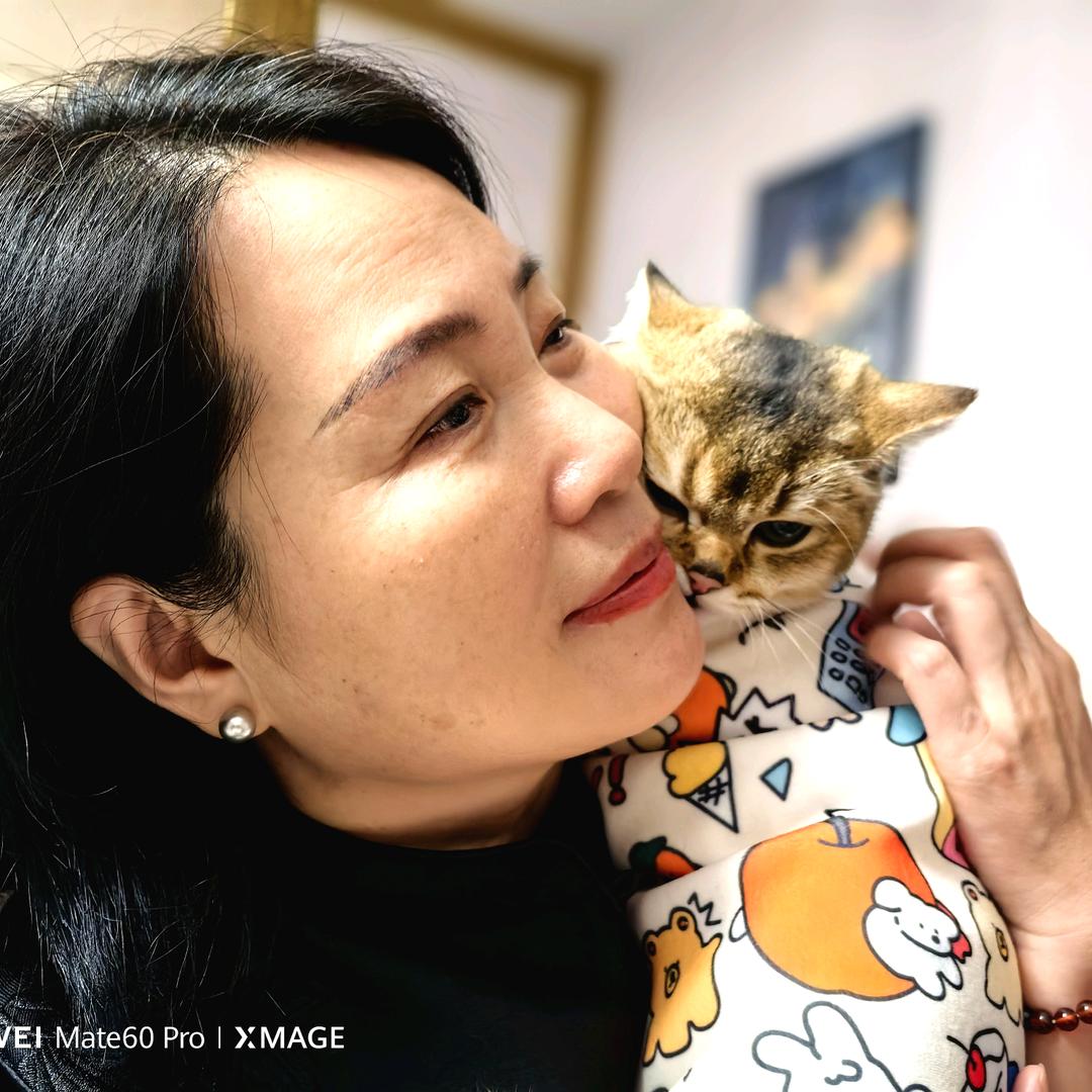 羊眯眯的快乐日常