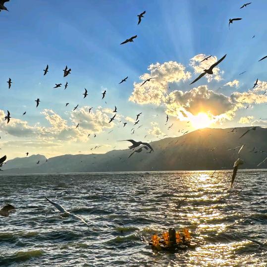 🍁平凡之路🍁