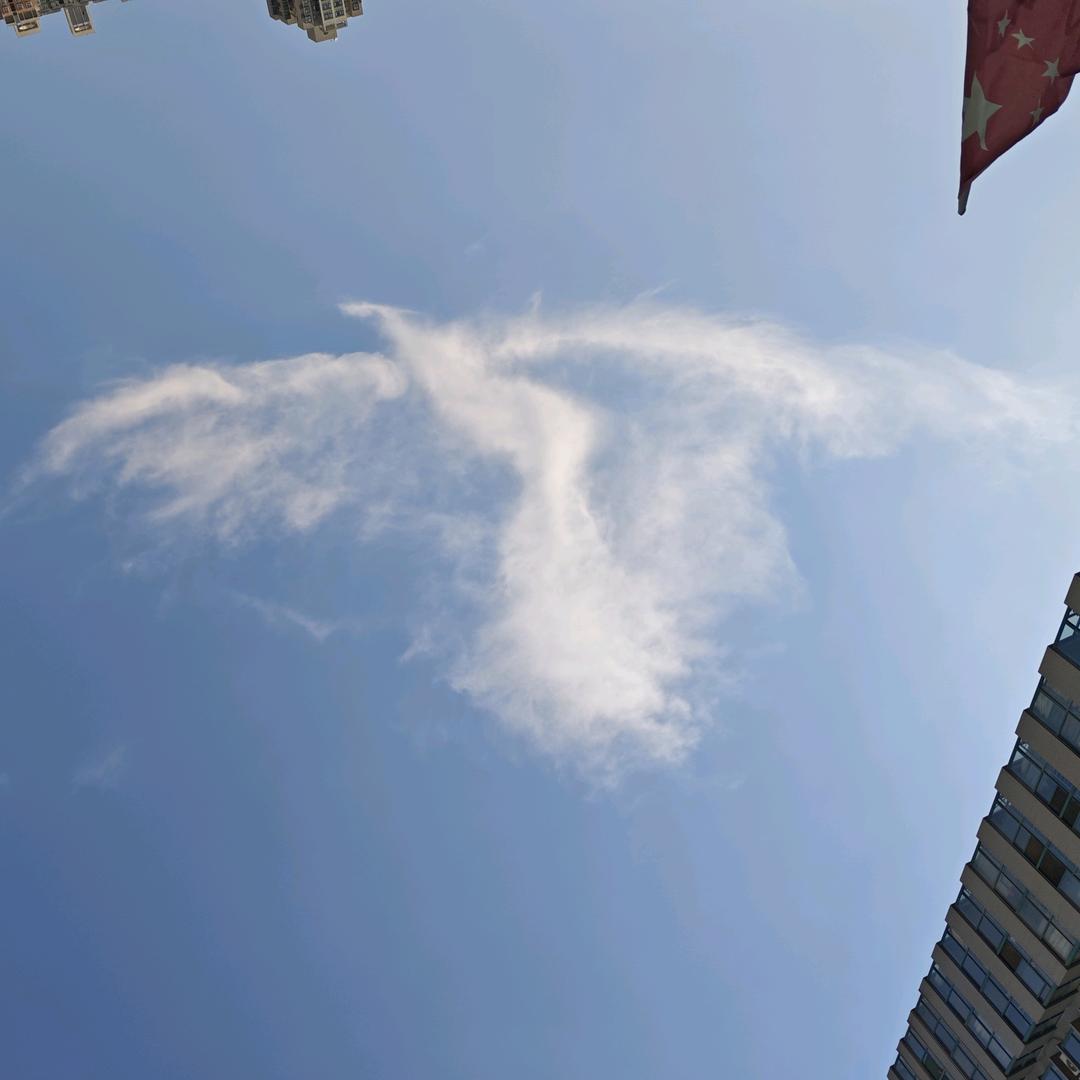 随你而行