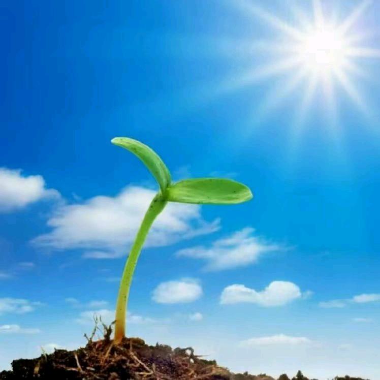 当阳光照耀大地