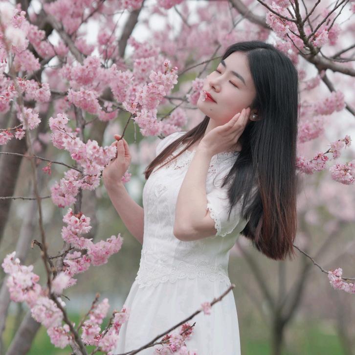杨杨🌻