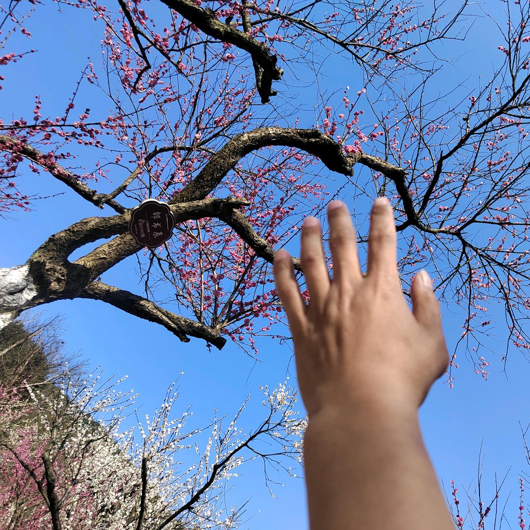 一张纸