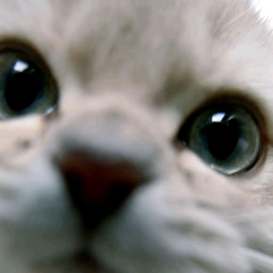 酸菜鱼不要酸菜