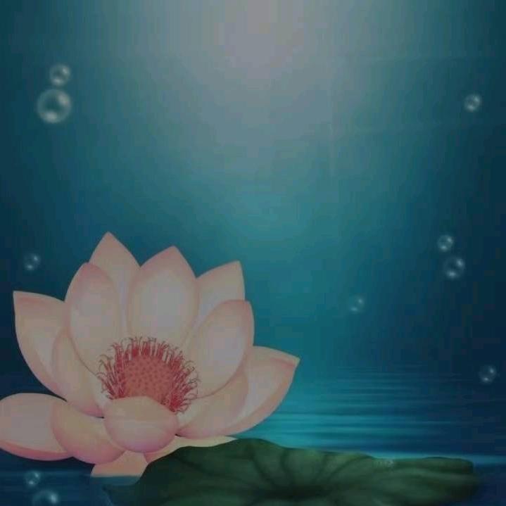 ☞哦豁☜