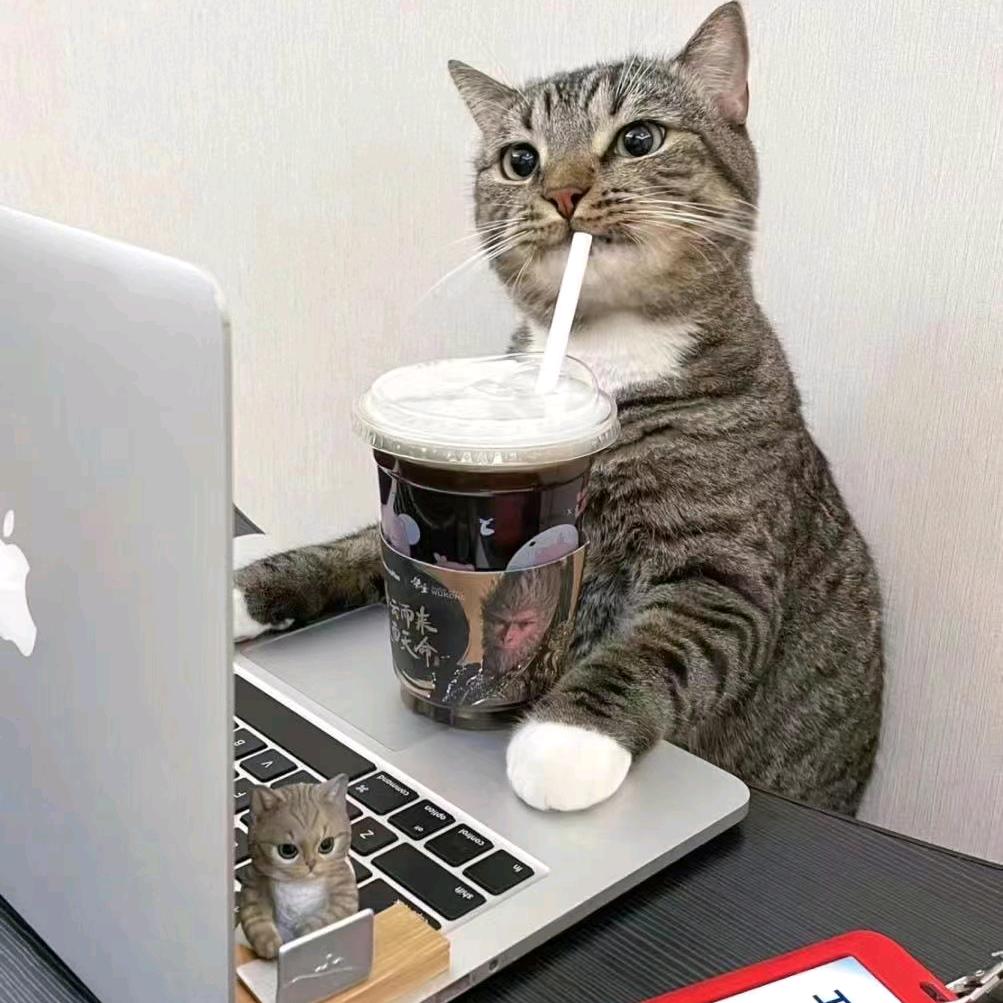 社恐男大爱上霸道学姐